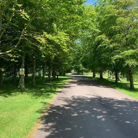 Fernhill Lodge Carrigaline Bagian luar foto