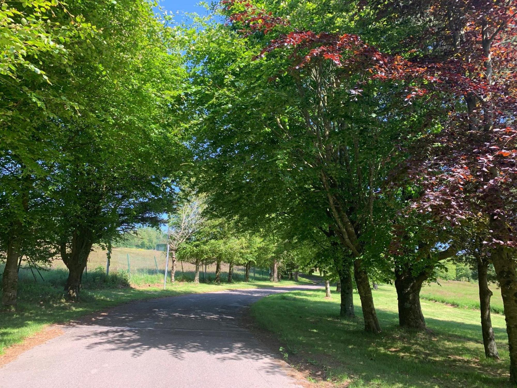 Fernhill Lodge Carrigaline Bagian luar foto